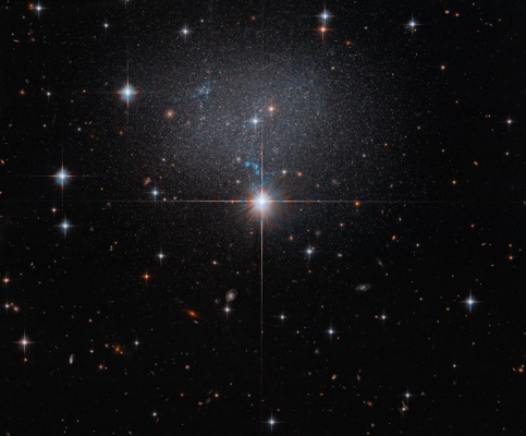 Hubble показав карликову галактику в сузір’ї Великого Пса