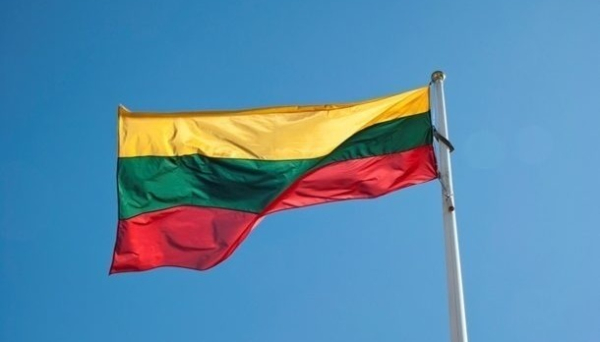 Петицію з вимогою знання литовської мови для іноземців підписали 22,5 тисячі осіб - ЗМІ