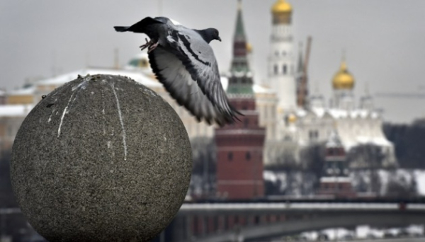 Активність бізнесу в Росії впала до рівня весни 2022 року - розвідка