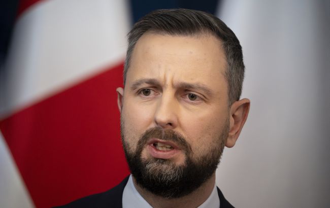 Польша готова помочь Украине модернизировать МиГ-29, но есть условие