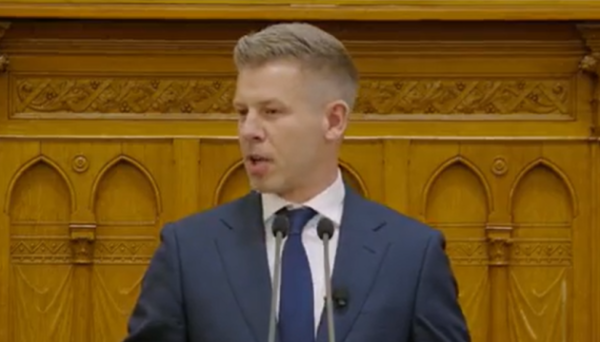 Шахістка Полгар відхилила пропозицію Мадяра стати президенткою Угорщини
