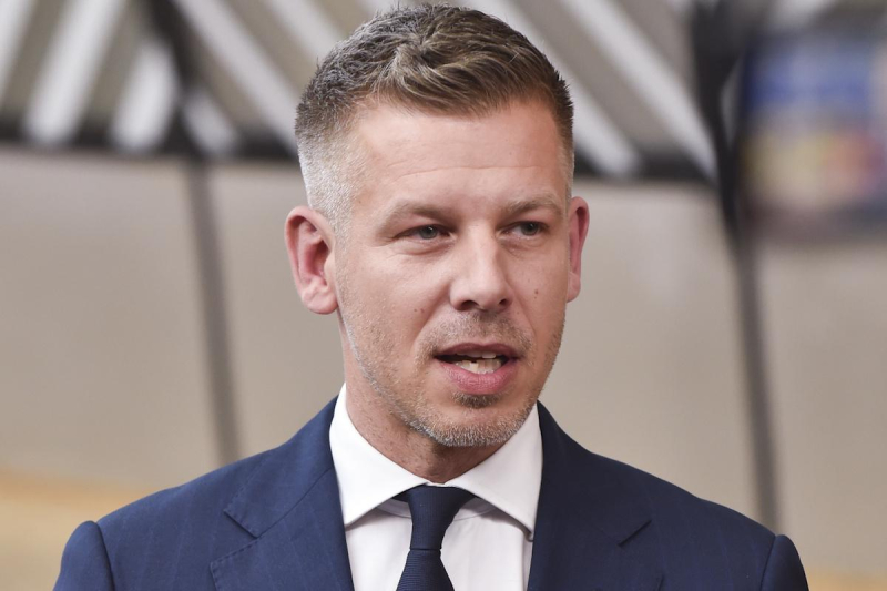 Україна – жертва агресії, але зброї не дамо: Мадяр після зустрічі з Зеленським