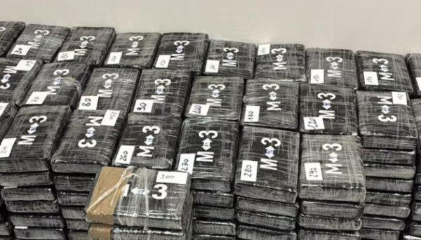 В Італії вилучили 340 кілограмів кокаїну, приховані серед бананів із Колумбії