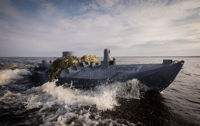 В Украине появится уникальная линия морской обороны