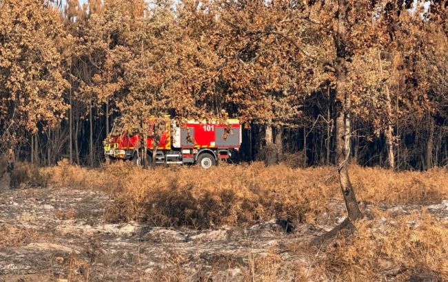 Украинские спасатели прибыли во Францию тушить масштабный лесной пожар