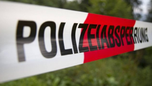 Ще в одній землі ФРН знайшли вибухівку для атак на електромережі, підозрюють кліматичного активіста